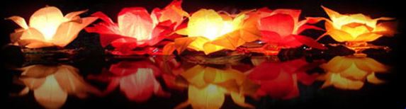 Waterlelie lampionnen