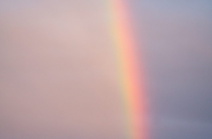 Regen of zonneschijn: hoe om te gaan met wisselende weersomstandigheden in de tuin