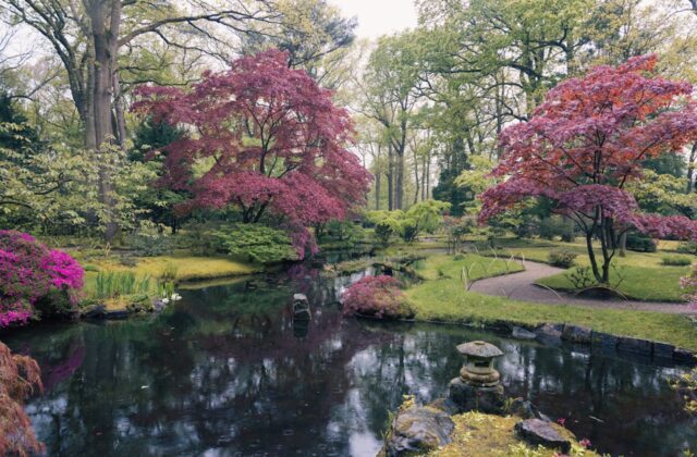 japanse tuin den haag