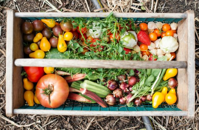 Moestuinbed in de herfst met pompoenen en een tuinhark