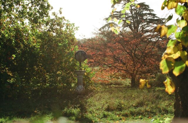 Snoeischaar en tuinhandschoenen bij een struik met herfstblad in een Nederlandse tuin
