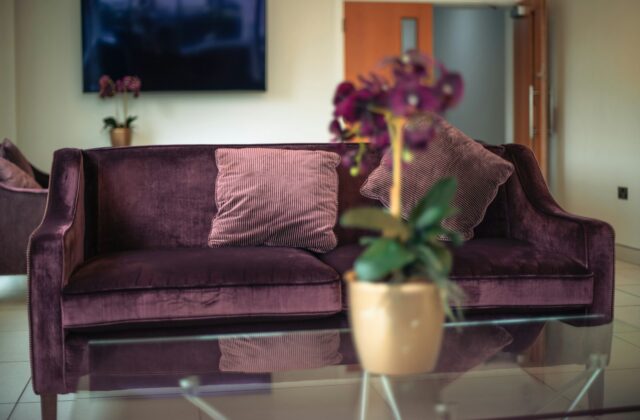 Een fluwelen bank in een diepe pruimkleur in een warm ingerichte woonkamer