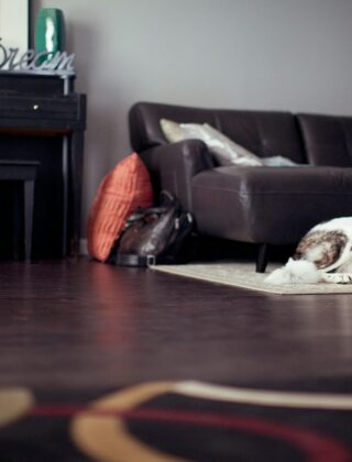 Een hond ligt op een wollen vloerkleed in een warme woonkamer